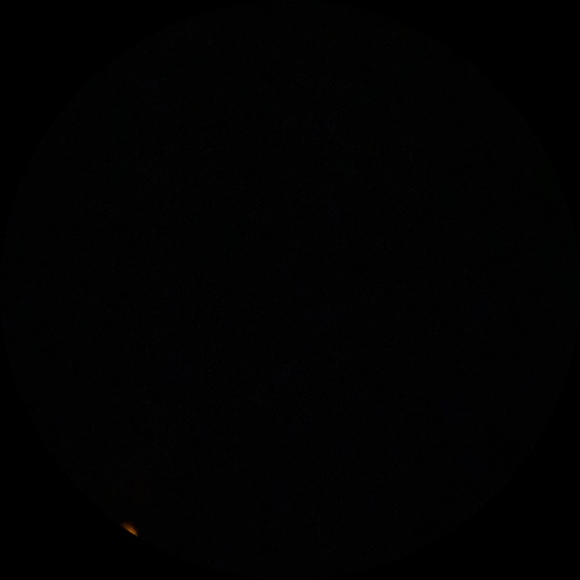 Meet your Posher, Ethan - Picture 1 of 1